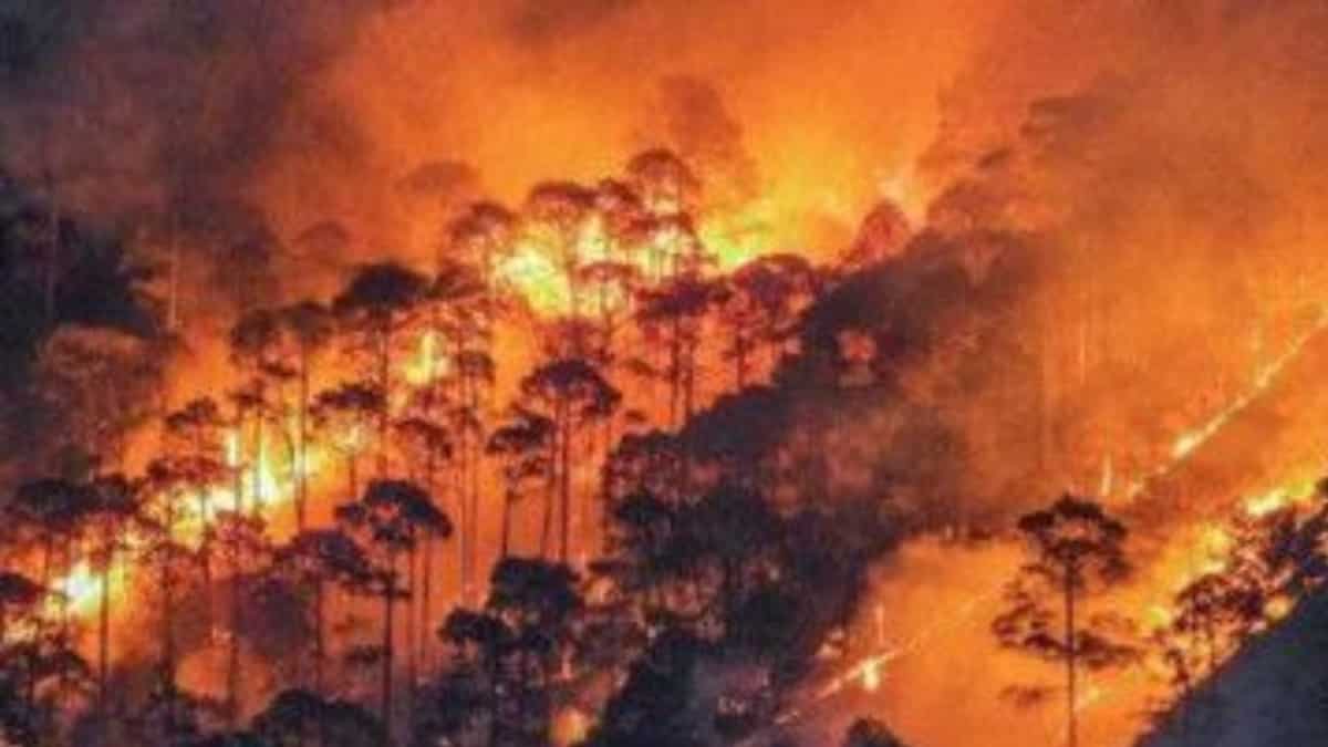 India’s top court slams ‘lackadaisical’ approach of Uttarakhand govt in tackling forest fires