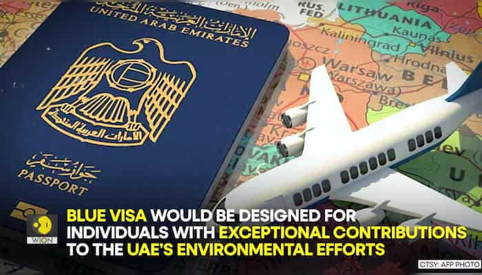 All you need to know about UAE's Blue Residency visa