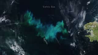 NASA: Colourful microscopic plant-like organisms seen in Celtic Sea