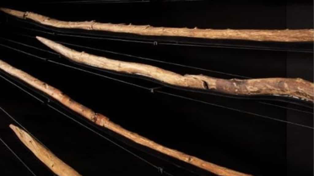 Humans were hunting animals with deadly wooden spears 300,000 years ago: study