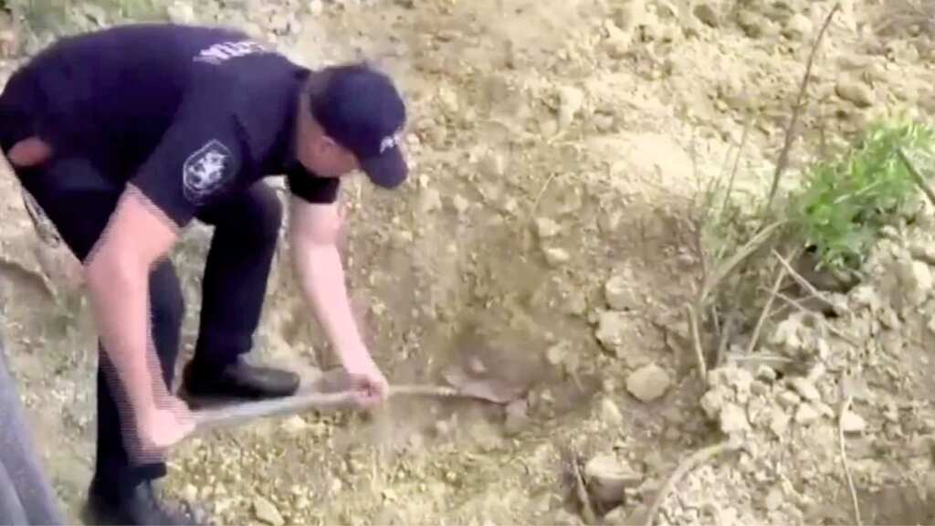 62-year-old buried alive for four days rescued after police hear muffled cries