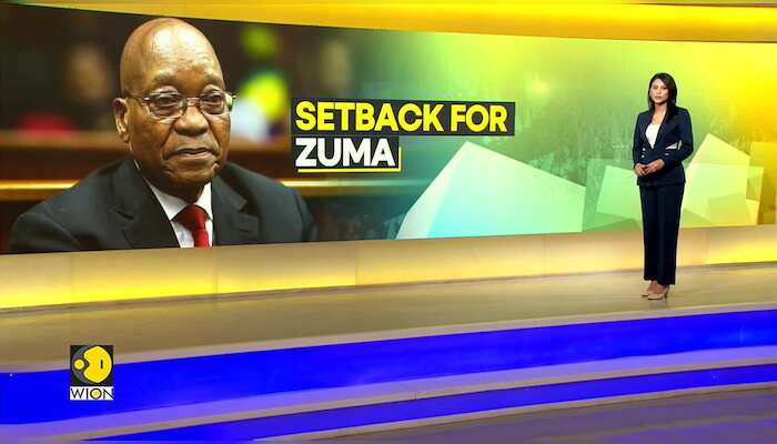 South Africa Elections 2024: Top court prohibits Zuma from contesting polls