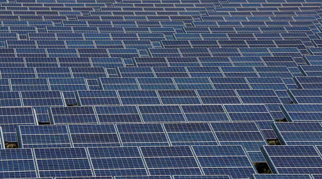 US solar giant rises as China's industry navigates turbulence