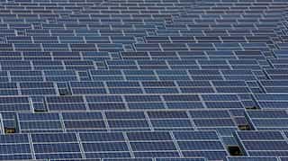 US solar giant rises as China's industry navigates turbulence