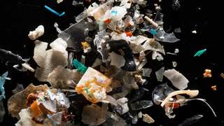 Scientists baffled after discovery of microplastics in human testicles. Here's why you should be worried