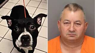 66-year-old Florida man arrested after decapitated dog found in park days after adoption