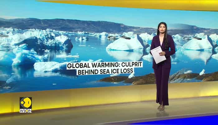 Global warming worsened loss of sea ice | WION Climate Tracker