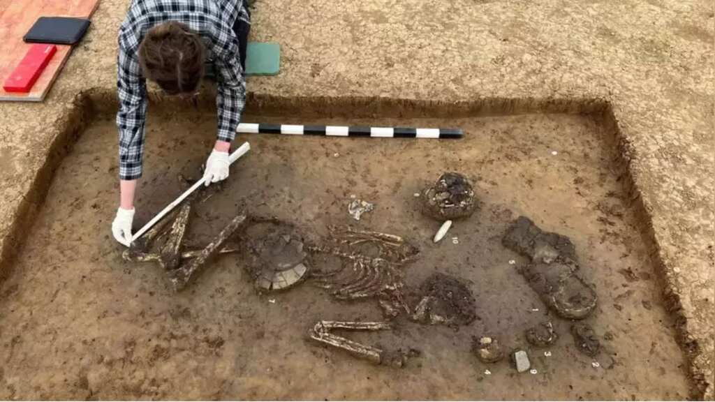 ‘The Mayor’ buried 6,800 years ago with drinks and food for afterlife discovered in Bavaria