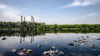 What is Naegleria fowleri, the brain-eating amoeba that killed five-year-old in India?