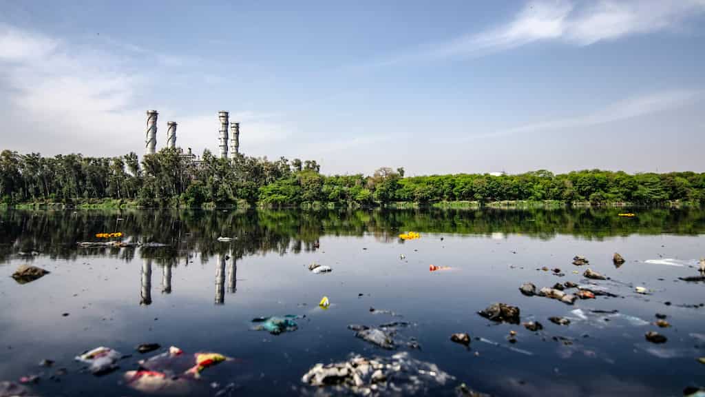 What is Naegleria fowleri, the brain-eating amoeba that killed five-year-old in India?