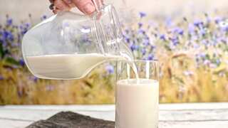 Second human bird flu case linked to dairy cow outbreak reported in US