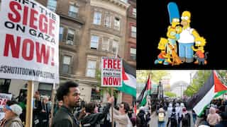 NYU forces pro-Palestinian protesters to watch 'The Simpsons' as punishment