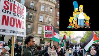 NYU forces pro-Palestinian protesters to watch 'The Simpsons' as punishment