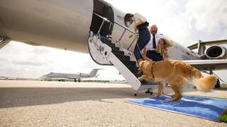 A first class experience: US-based airline launches dog-friendly flights