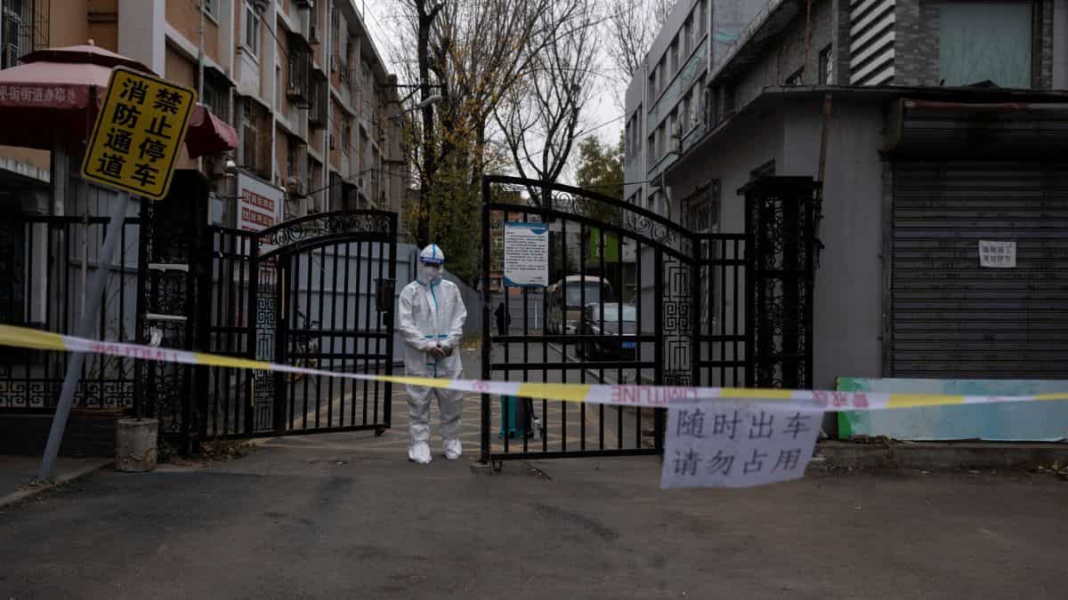 China releases journalist jailed for Covid-19 coverage