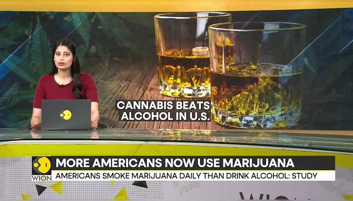 Daily Marijuana use outpaces daily drinking in the US