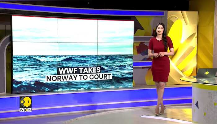 WWF calls Norway's sea-bed mining 'destructive'