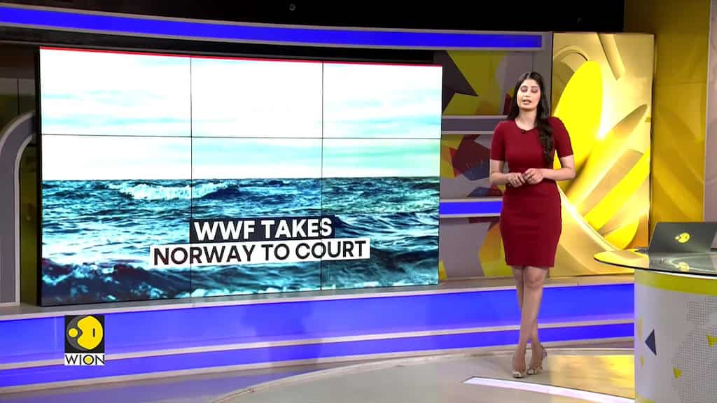 WWF calls Norway's sea-bed mining 'destructive'