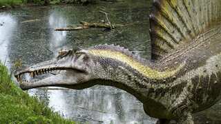 Did feathered dinosaurs exist? Study says these reptiles had scaly skins like lizards