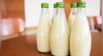Raw milk contaminated with bird-flu virus damaging multiple organs of mice: study
