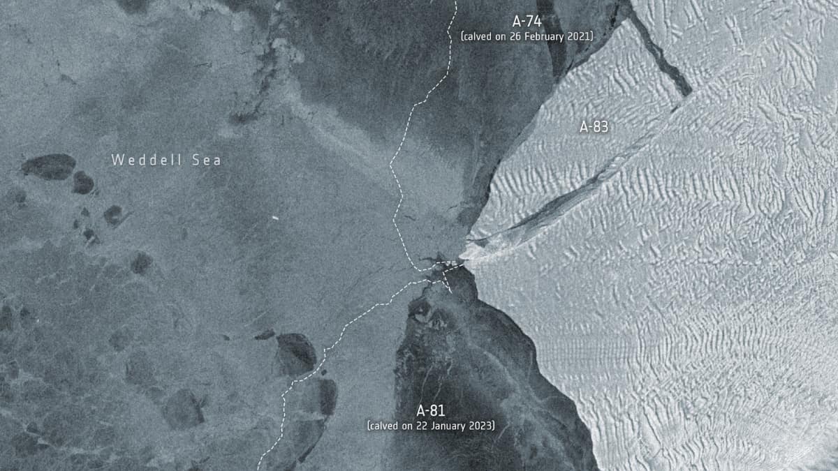 Massive iceberg in Antarctica breaks off in third major calving in last four years