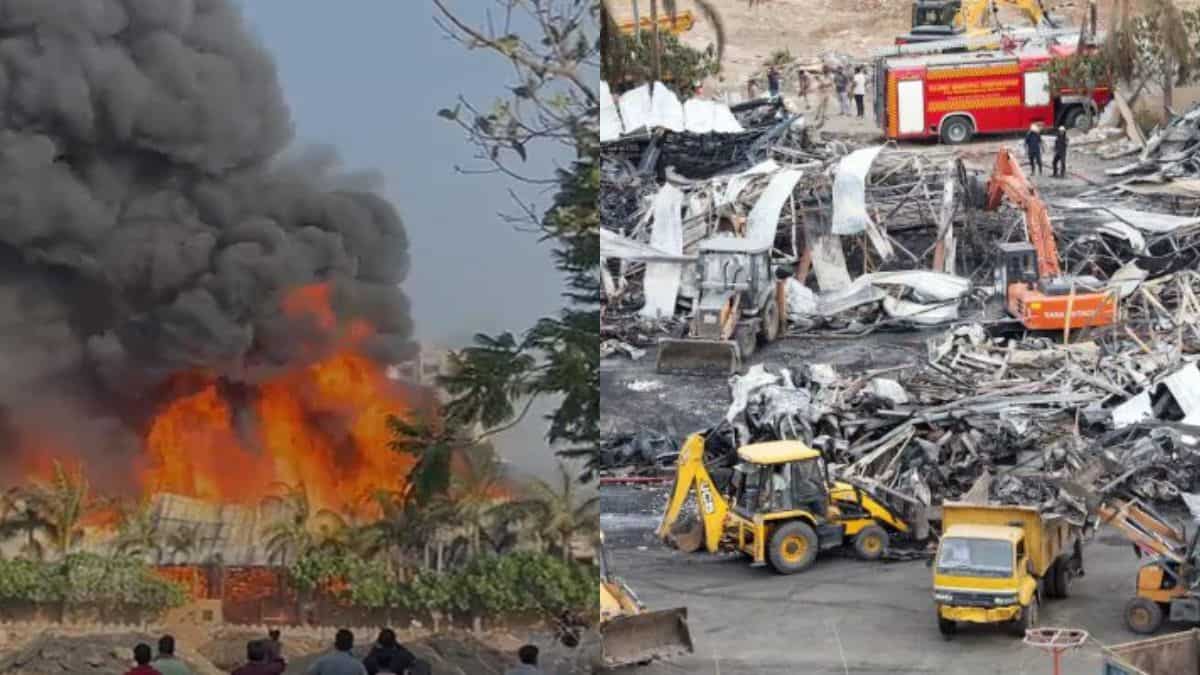 'Did you fall asleep?' Gujarat High Court slams Rajkot municipal body for gaming zone tragedy 'Did you fall asleep?' Gujarat High Court slams Rajkot municipal body for gaming zone tragedy