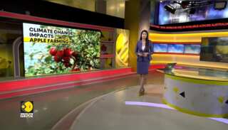 Climate change degrades apple produce in Northern India