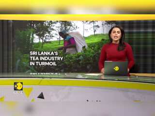 Sri Lanka tea producers protest wage hike mandate