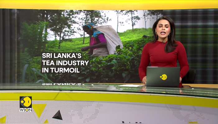 Sri Lanka tea producers protest wage hike mandate