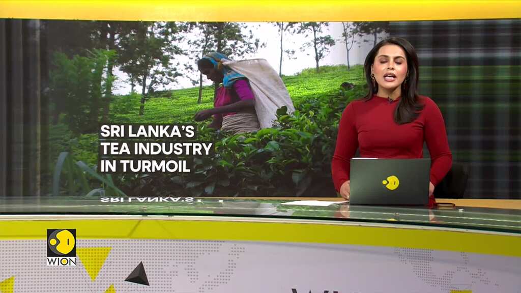 Sri Lanka tea producers protest wage hike mandate