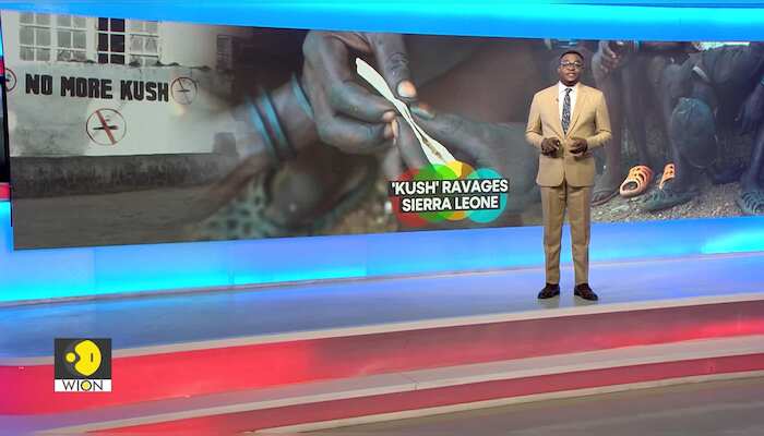 A cheap, synthetic drug is ravaging Sierra Leone's youth