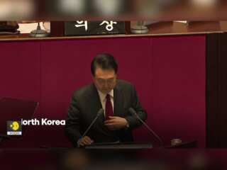 North Korea sends balloons carrying excrement over border with South Korea |