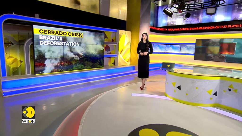 Brazil: Deforestation in Brazil's Cerrado increased sharply in 2023