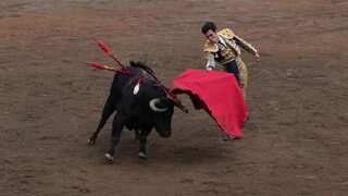 Colombia Congress votes to ban bullfighting