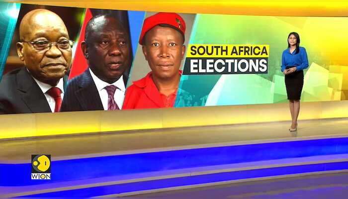 South Africa Elections: Counting underway | Will ANC's apartheid legacy fade out?