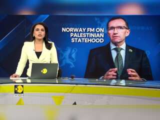 Norway FM Espen Barth Eide on WION: Why Norway recognised Palestinian statehood?