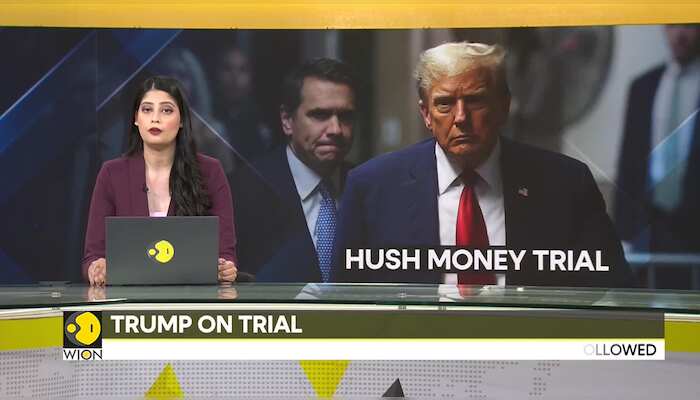 Donald Trump's Hush Money Trial: 12-member jury to decide Trump's fate