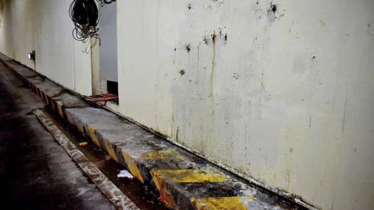 Mumbai’s undersea Coastal Road tunnel leaks two months after opening; criticism pours in