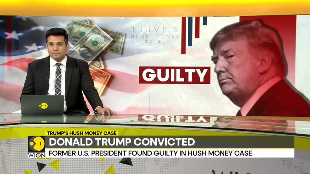 Trump's Hush money case: 'The real verdict is going to be on Nov 5': Donald Trump