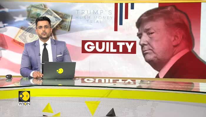 Trump's Hush Money Case: Donald Trump says 'real verdict will come on November 5'