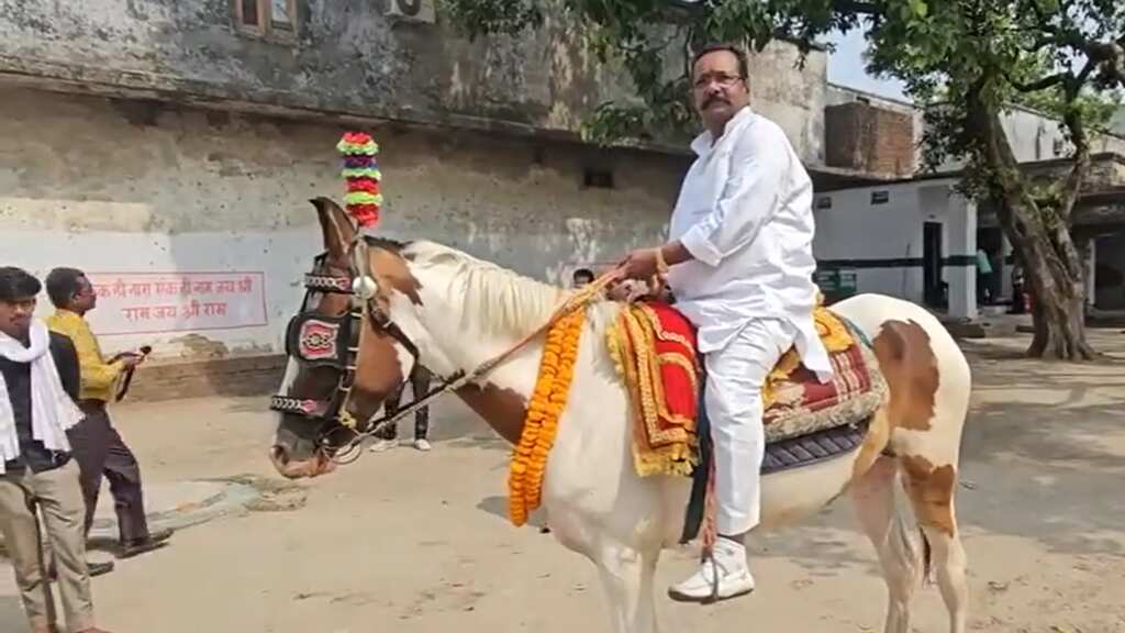 Lok Sabha Elections Phase 7: UP man shows up on horse to cast vote