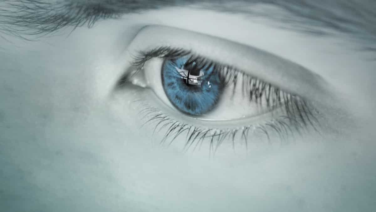 Blue-eyed individuals share common ancestor, claims genetic research Blue-eyed individuals share common ancestor, claims genetic research