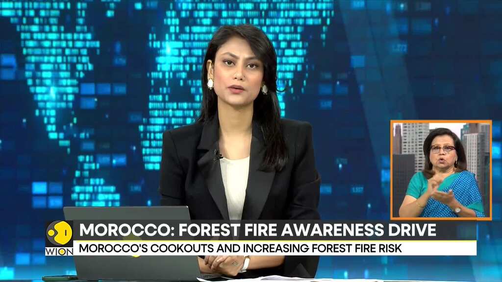 Morocco's increasing forest fire risk, outdoor cooking increasing forest risk