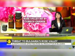 Climate change affecting Bulgaria's Rose Valley