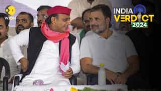 Lok Sabha Election Result 2024: INDIA gives tough fight, SP emerges as star party in UP