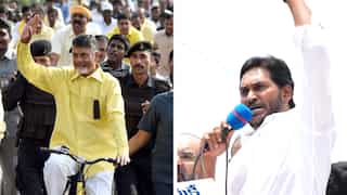 Andhra Pradesh Assembly Election Results 2024: Chandrababu Naidu's TDP-led alliance achieves landslide victory