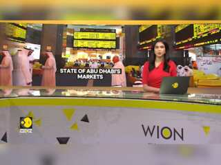 State of Abu Dhabi's markets: Why are the stock markets down?