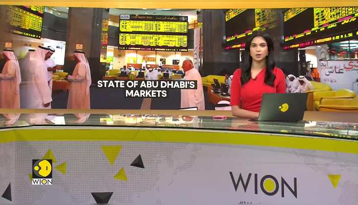 State of Abu Dhabi's markets: Why are the stock markets down?