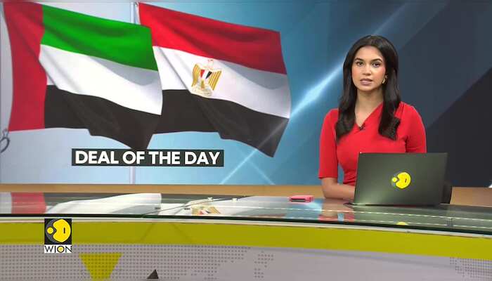 State of Egypt's economy | UAE's record investment in Egypt