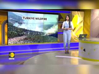 Turkey wildfire: Helicopter douse flames in Northwestern Bursa province